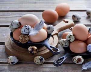 Преимущества перепелиных яиц