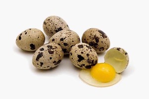 Лечение сырыми перепелиными яйцами