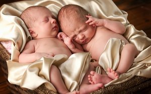 Однояйцевые близнецы при беременности
