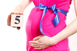 Пятый месяц беременности