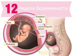 Обследования при беременности