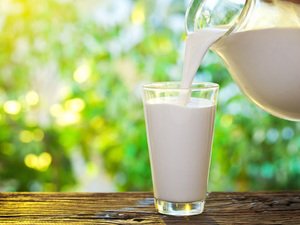Вред молока для организма 