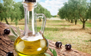 Противопоказания к приему оливкового масла