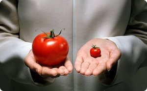 ГМО в продуктах питания, что это