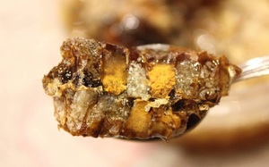 Какими свойствами обладает пчелиная перга