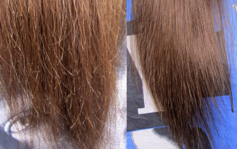 Как избавится от посеченных кончиков без стрижки волос