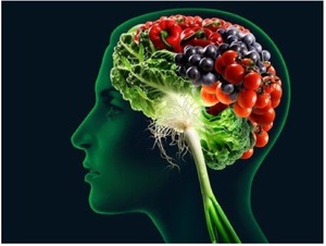 Как действуют витамины на мозг