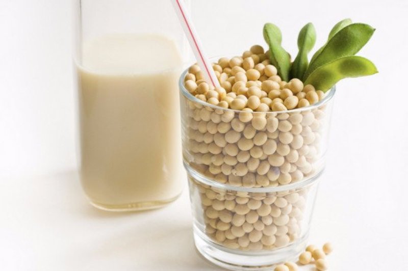 Соевое молоко: польза и вред, состав и калорийность