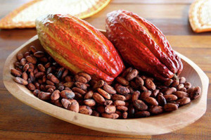 Спелые какао бобы