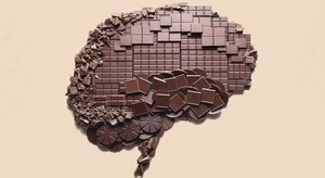 Шоколад для активности мозга