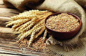 Отруби пшеничные для похудения 