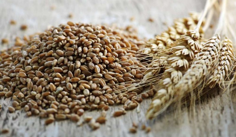 Какие выбрать  пшеничные отруби
