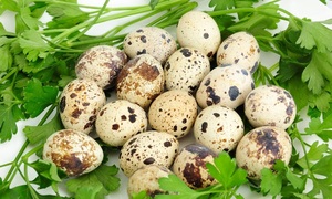 Состав и свойства перепелиных яиц
