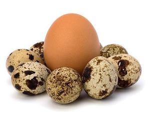 Польза от перепелиных яиц