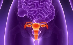 Симптомы и лечение выпадения матки у женщин пожилого возраста