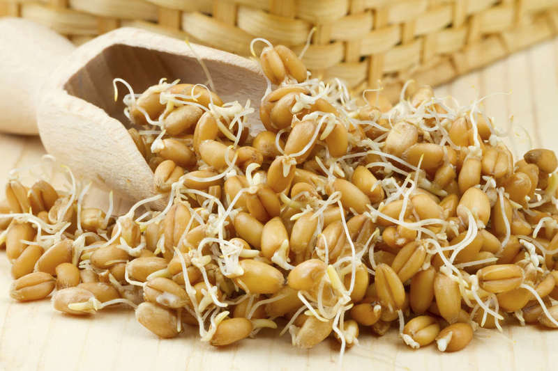 Пророщенные зерна: польза и вред