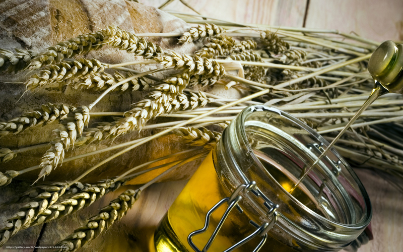 Свойства и применение масла зародышей пшеницы