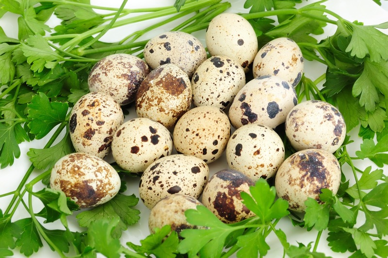 Правила приготовления и особенности хранения яиц