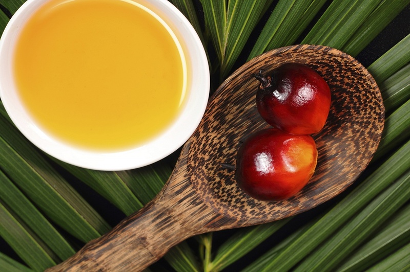 Применение пальмового масла 