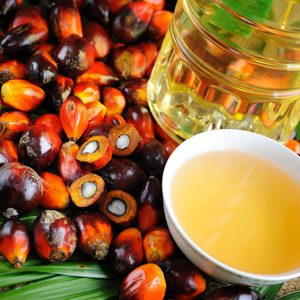 Вред и польза пальмового масла для здоровья 