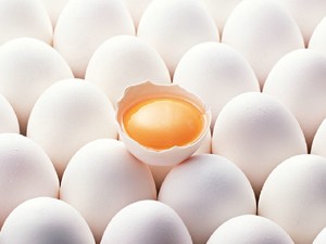 Польза и вред куриных яиц для человека