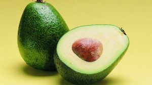 Применение плодов авокадо